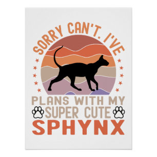 Ik heb plannen met mijn Sphynx kat Perfect Poster