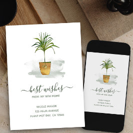 Ik heb Potlood Palm Plant mijn nieuwe thuisbewegin Aankondiging
