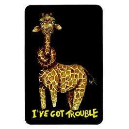 Ik heb problemen magneet