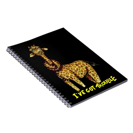 Ik heb problemen notitieboek (Rechterzijde)