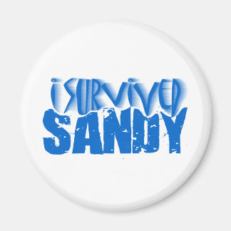 Ik heb SANDY overleefd Magneet