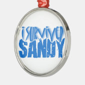 Ik heb SANDY overleefd Metalen Ornament (Links)