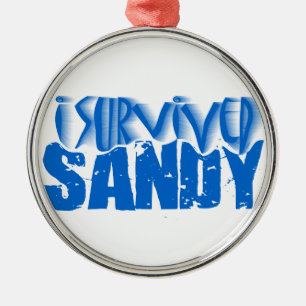 Ik heb SANDY overleefd Metalen Ornament