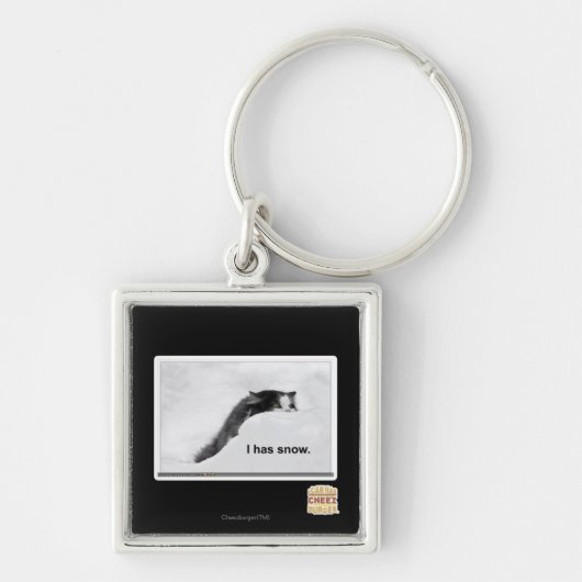Ik heb sneeuw. sleutelhanger (Voorkant)