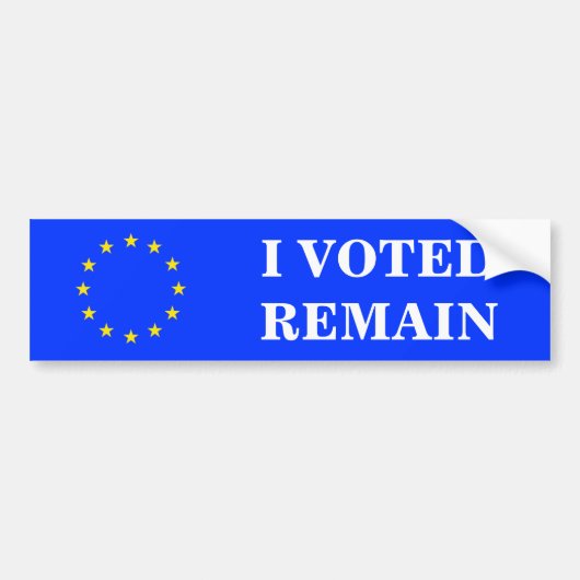 IK HEB STEMMEN VOOR BLIJVEN BUMPERSTICKER (Voorkant)