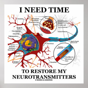Ik heb tijd nodig om mijn neurotransmitters te her poster