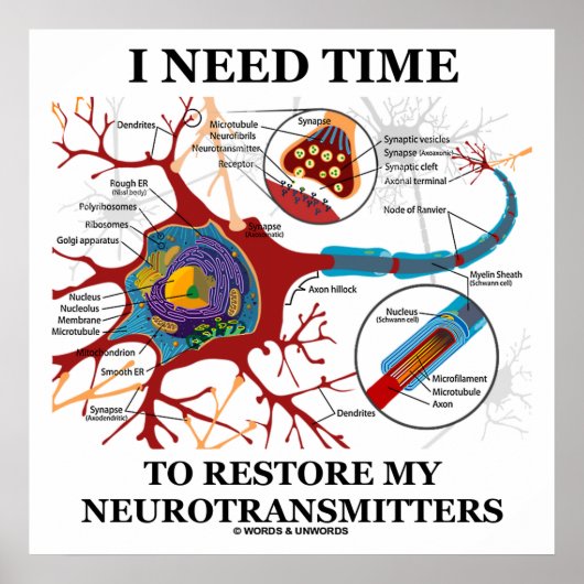 Ik heb tijd nodig om mijn neurotransmitters te her poster (Voorkant)