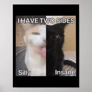 Ik heb twee kanten Gekke krankzinnige kat grappig Poster