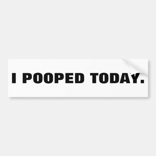 IK HEB VANDAAG GESTELD. BUMPERSTICKER (Voorkant)