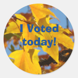Ik heb vandaag gestemd! stickers Stemmen aangepast