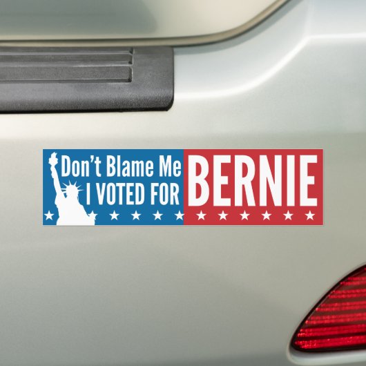Ik heb voor Bernie gestemd. Bumpersticker (Op auto)