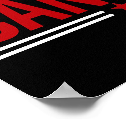 Ik heb voor de gekwalificeerde kandidaat gestemd. poster (Hoek)