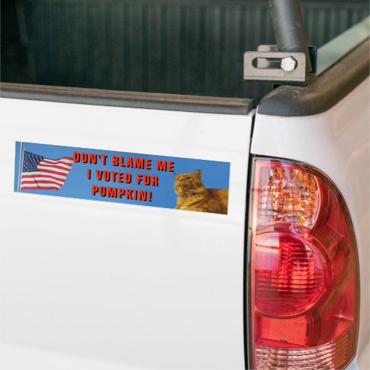 Ik heb voor Pumpkin gestemd. Bumpersticker (Op Truck)