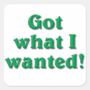 Ik heb wat ik wilde vierkante sticker