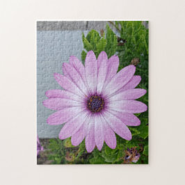 Ik heb wat tijd op je handen... legpuzzel