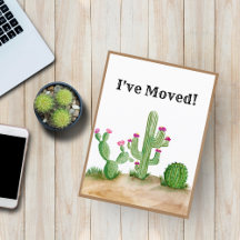 Ik Heb Waterverf Cactus Woestijn Nieuw Adres Verhu