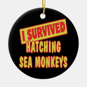 IK HEB ZEE MONKEYS OVERLEVEN KERAMISCH ORNAMENT