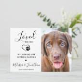 Ik hield eerst van haar moderne huisdier foto hond aankondiging (Staand voorkant)