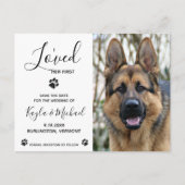 Ik hield van haar eerste, elegante moderne hondenw aankondigingskaart (Voorkant)