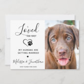 Ik hield van haar eerste moderne foto Dog Verlovin Aankondiging (Voorkant)