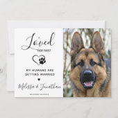 Ik hield van haar eerste moderne QR-code Pet Dog W Kaart (Voorkant)