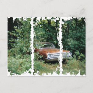 Ik hielp de Goldeneagle van het oude Orchard stran Briefkaart