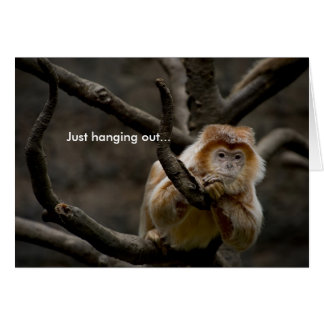 Ik hing gewoon uit...