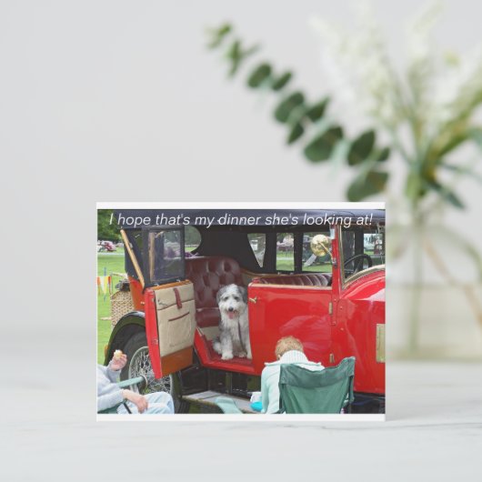 Ik hoop dat dat mijn diner is dat ze kijkt... briefkaart (Staand voorkant)
