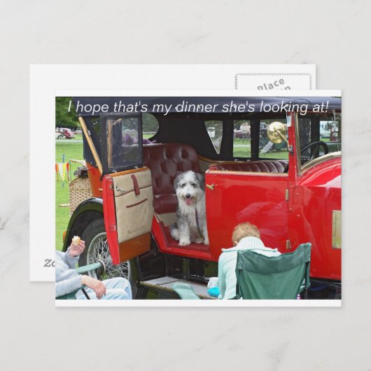 Ik hoop dat dat mijn diner is dat ze kijkt... briefkaart (Voorkant / Achterkant)