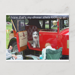 Ik hoop dat dat mijn diner is dat ze kijkt... briefkaart