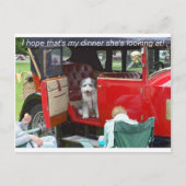Ik hoop dat dat mijn diner is dat ze kijkt... briefkaart (Voorkant)