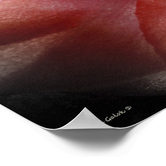 Ik hoop dat je Dance Poster (Hoek)