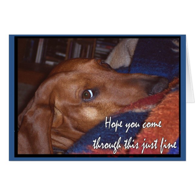 Ik hoop dat je dit goed doorkomt (Voorkant Horizontaal)