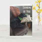 IK HOOP DAT JE JE BETER VOELT KAART (Gele Bloem)