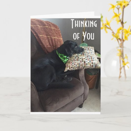 IK HOOP DAT JE JE BETER VOELT KAART (Gele Bloem)