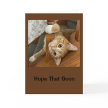 Ik hoop dat je je goed Spint.