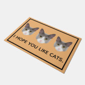 Ik hoop dat je katten leuk vindt  deurmat (Schuin)