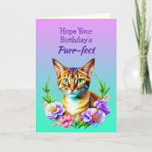 Ik hoop dat je Spint | Kattenwoordspeling Kaart (Voorkant)