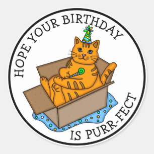 Ik hoop dat je verjaardag Gesponnen is. Ronde Sticker