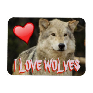 IK HOOP OOK VAN WOLVES - WOLVES ZIJN MOEILIJK EN V MAGNEET