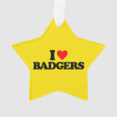 IK HOOP VAN BADGERS ORNAMENT (achterkant)