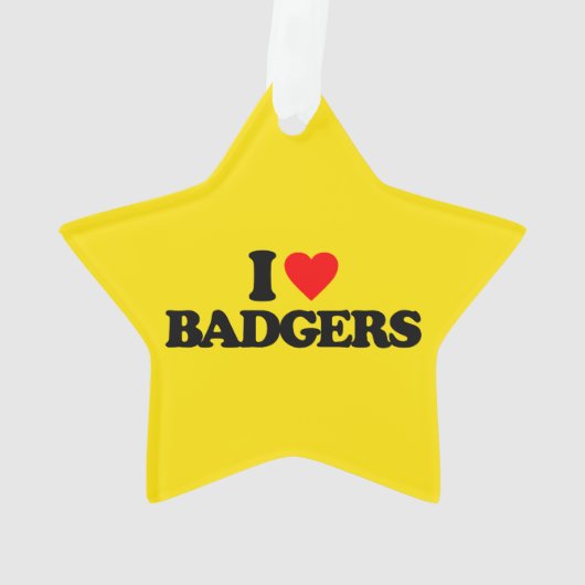 IK HOOP VAN BADGERS ORNAMENT (achterkant)