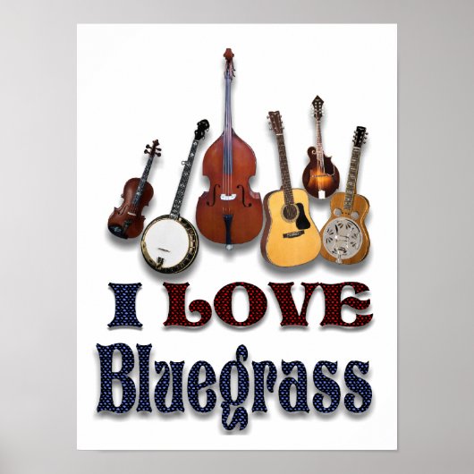 IK HOOP VAN BLUEGRASS - POSTER (Voorkant)