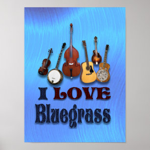 IK HOOP VAN BLUEGRASS - POSTER