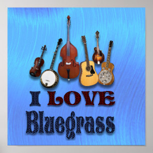 IK HOOP VAN BLUEGRASS - POSTER