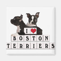 IK HOOP VAN BOSTON TERRIERS BLOKKEN