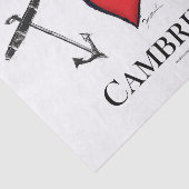 IK HOOP VAN CAMBRIDGE TISSUEPAPIER