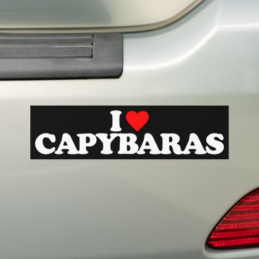 IK HOOP VAN CAPYBARAS BUMPERSTICKER (Op auto)