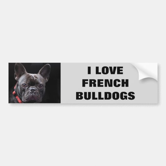 IK HOOP VAN FRANSE BULLDOGS BUMPERSTICKER (Voorkant)
