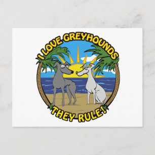 IK HOOP VAN GREYHOUNDS DIE ZE REGEL BRIEFKAART